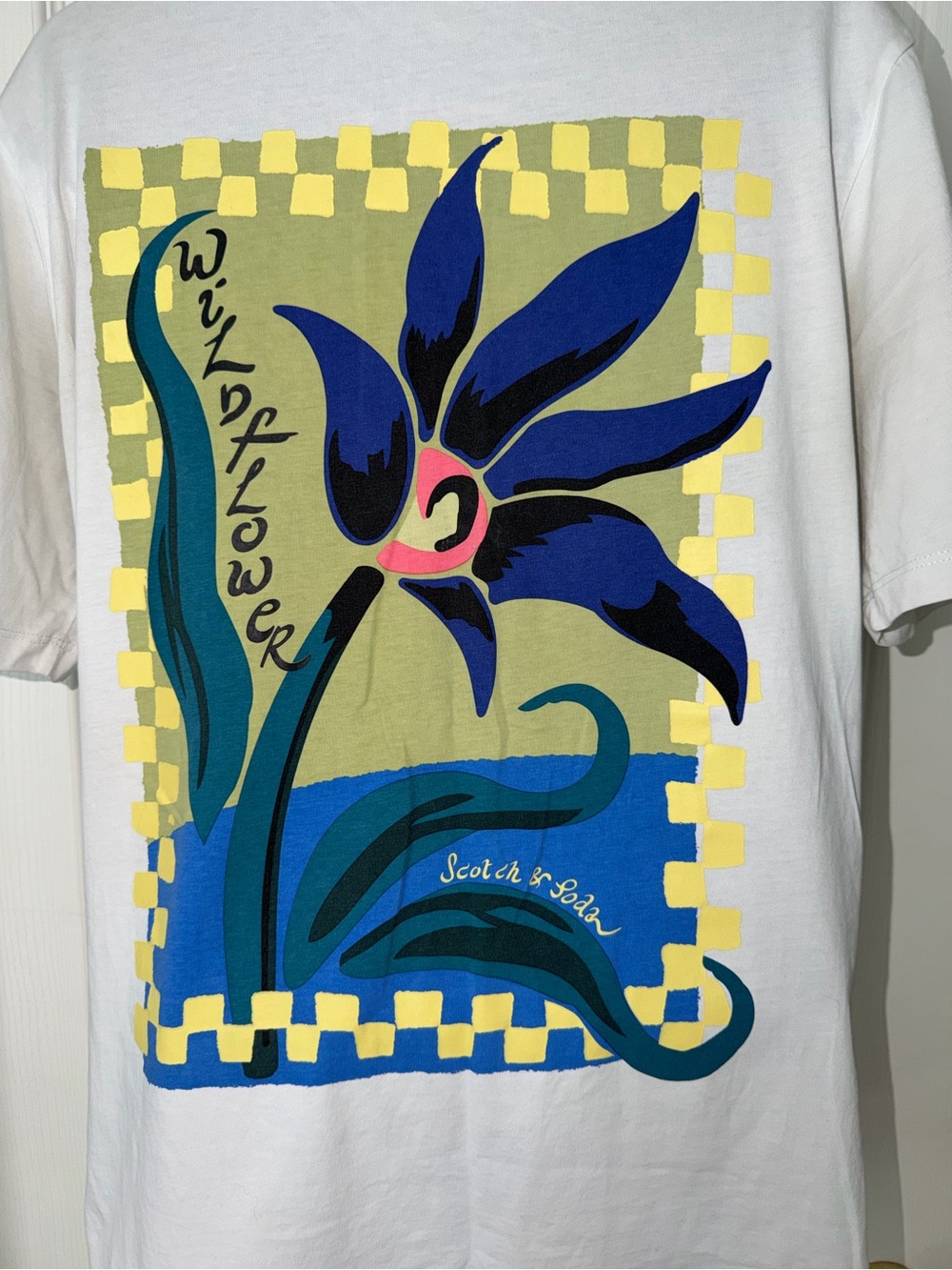 Scotch And Soda Men’s Short Sleeve Graphic Tshirt
